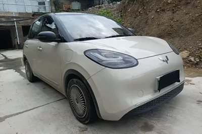 Wuling Bingo