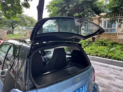 Smart Smart Fortwo