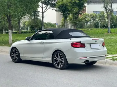 BMW 2 Series (Import)