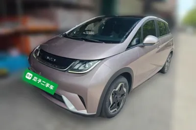 BYD Dolphin