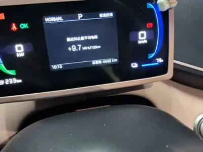 BYD Seagull