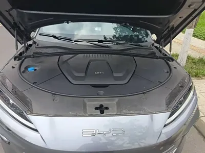 BYD PLUS New Energy
