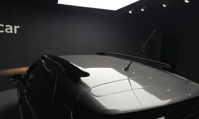 Citroen-DS C4 CACTUS