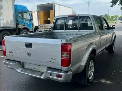 Dongfeng Rich