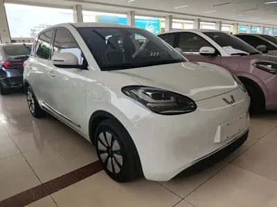 Wuling Bingo