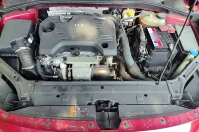 MG 6