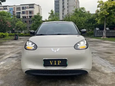 Wuling Bingo
