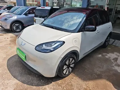 Wuling Bingo