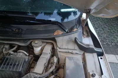 Honda Crider