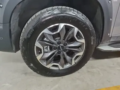 Haval Big Dog