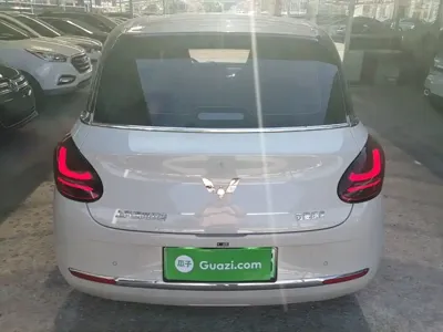 Wuling Bingo