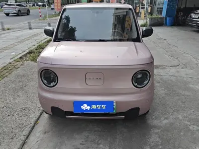 Galaxy Panda