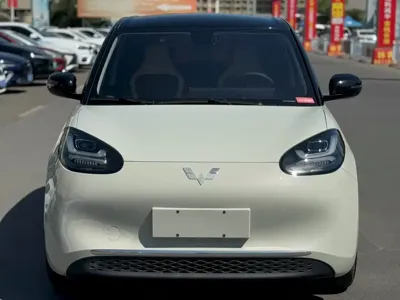 Wuling Bingo