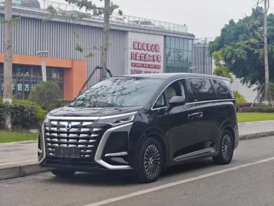 Denza Denza D9