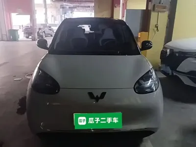 Wuling Bingo