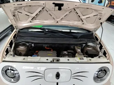 ORA Ora Black Cat