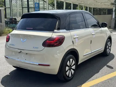 Wuling Bingo