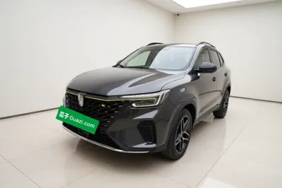 Roewe RX5 New Energy