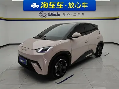 BYD Seagull
