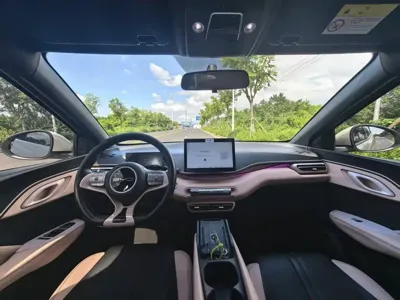 BYD Seagull