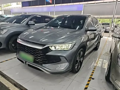 BYD Pro New Energy