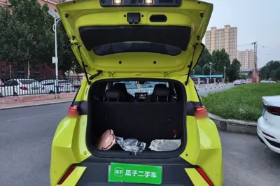 BYD Seagull