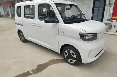 Wuling Zhiguang New Energy