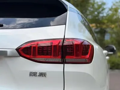 WEY Wey VV6