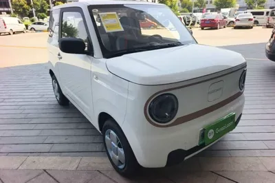 Geely Galaxy Panda