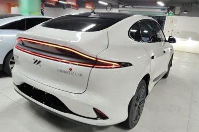 IM LS6