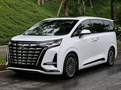 Denza Denza D9