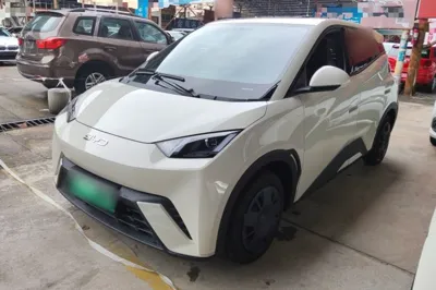 BYD Seagull