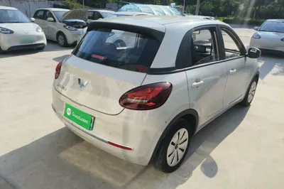 Wuling Bingo