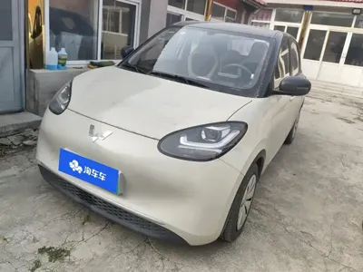 Wuling Bingo