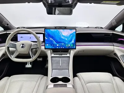 Denza Denza Z9