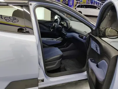 BYD Seagull