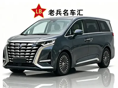 Denza Denza D9