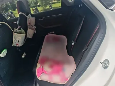 Geely Emgrand S
