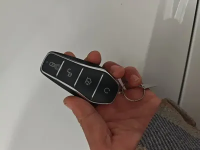 BYD Pro New Energy
