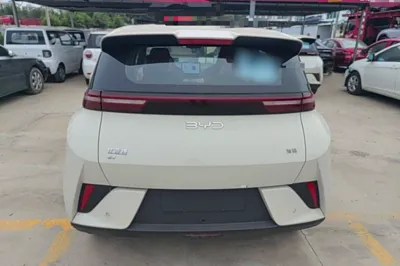 BYD Seagull