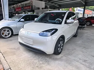Wuling Bingo