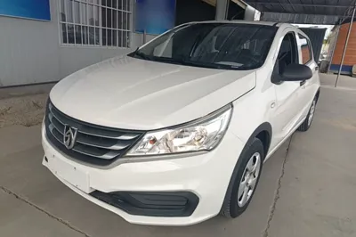 Baojun 310