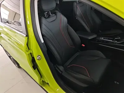 Geely Binrui