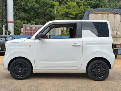 Galaxy Panda
