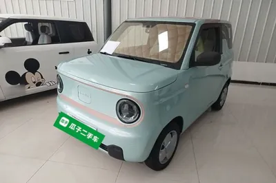 Geely Galaxy Panda