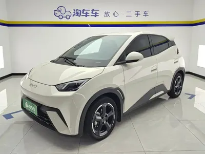 BYD Seagull