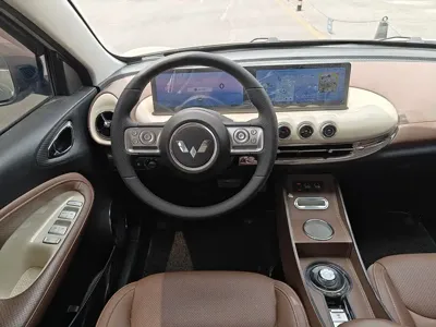 Wuling Bingo