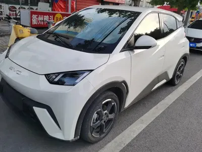 BYD Seagull