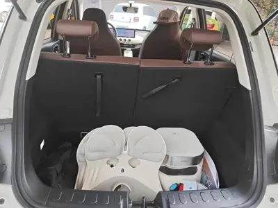 Wuling Bingo