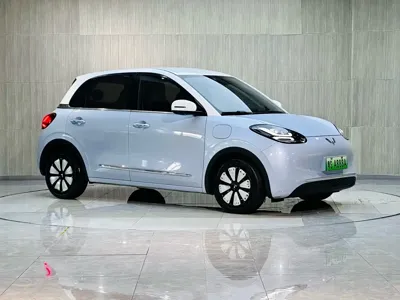 Wuling Bingo